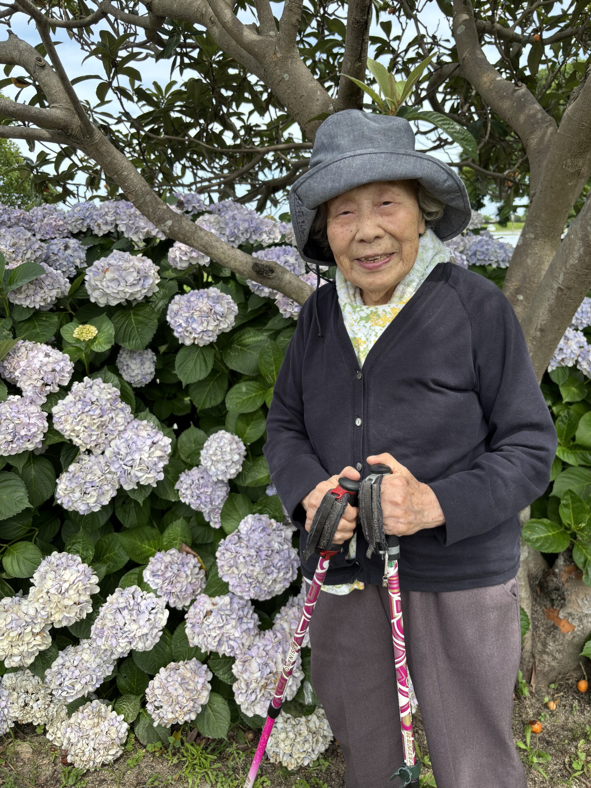紫陽花ドライブ4